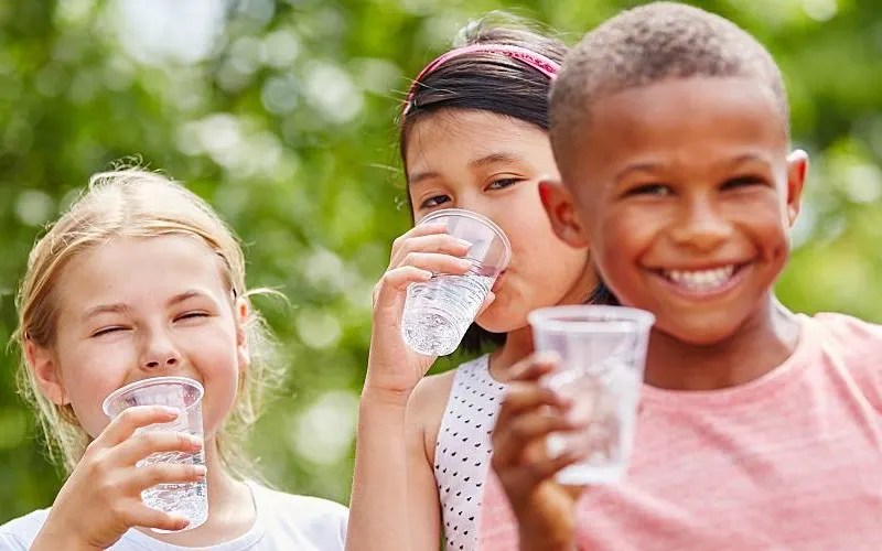 Children with poor hydration can be impaired-this includes brain function 