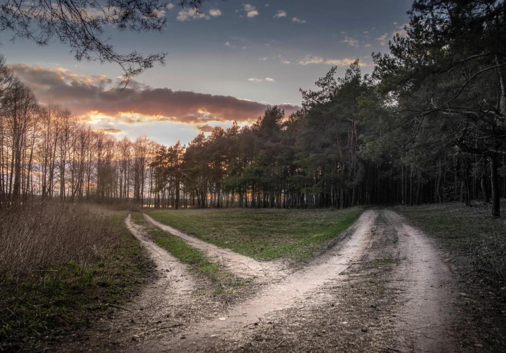 Two paths diverging on a quiet road, representing choice, personal responsibility, and growth